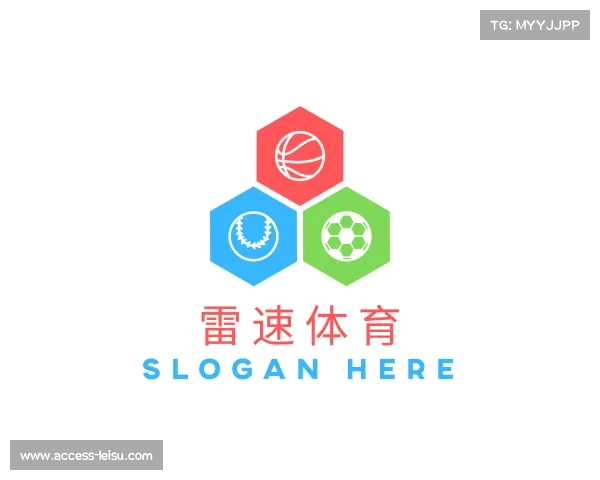 介绍雷速体育